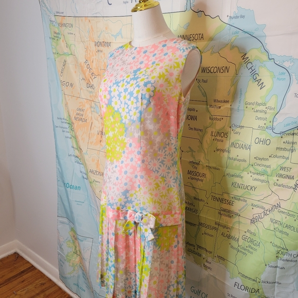 Vintage 1960s Eve Carter Floral Sleeveless Dress with Pleated Skirt - Picture 4 of 16